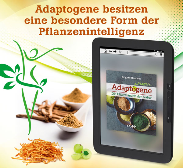 Adaptogene - Die Elitepflanzen der Natur