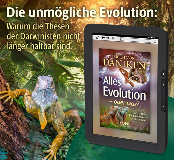Alles Evolution  oder was?