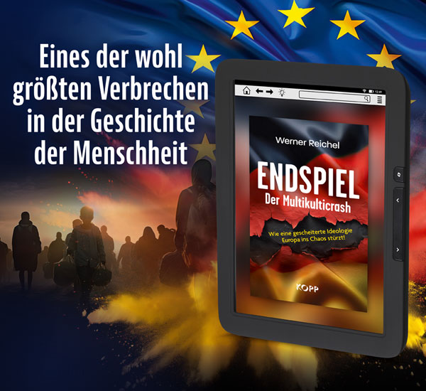 Endspiel  Der Multikulticrash