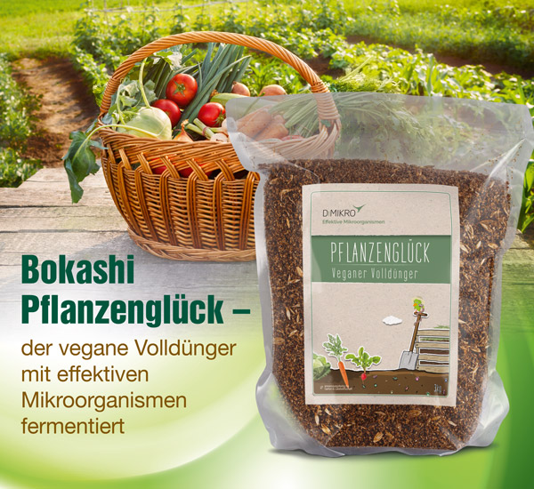 Bokashi Pflanzenglck