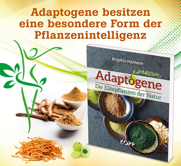 Adaptogene - Die Elitepflanzen der Natur