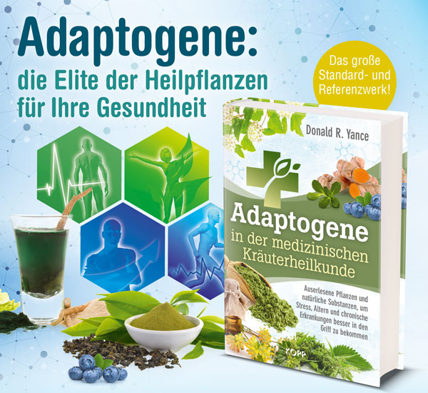 Adaptogene in der medizinischen Kruterheilkunde