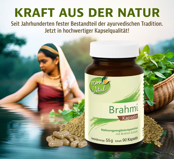 Kopp Vital  Brahmi Kapseln / 500 mg / 90 Kapseln