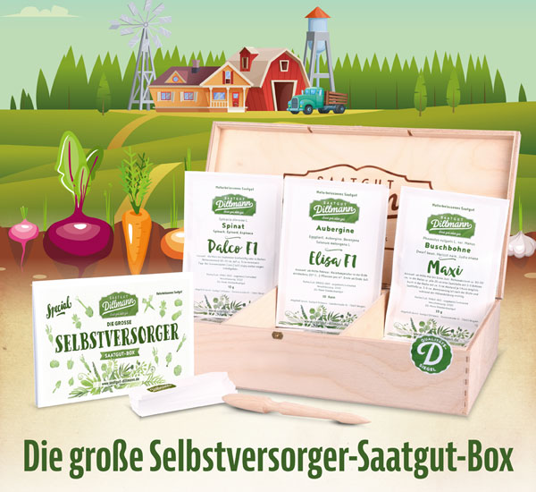 Die groe Selbstversorger-Saatgut-Box