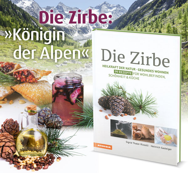 Die Zirbe