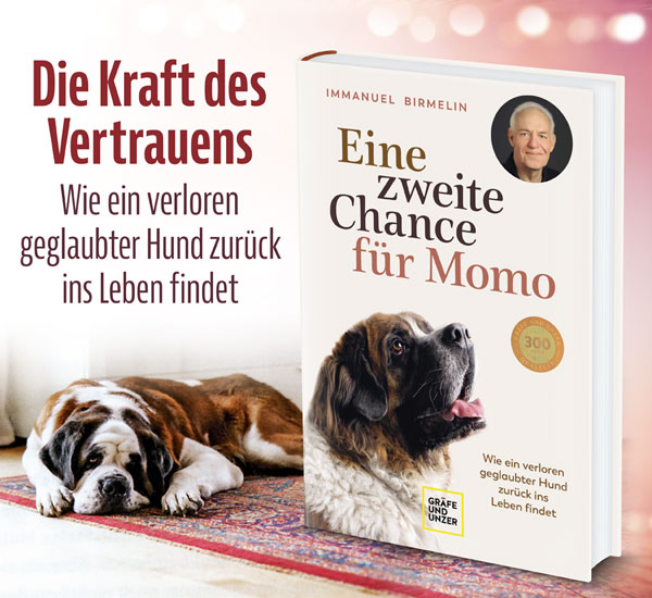 Eine zweite Chance fr Momo