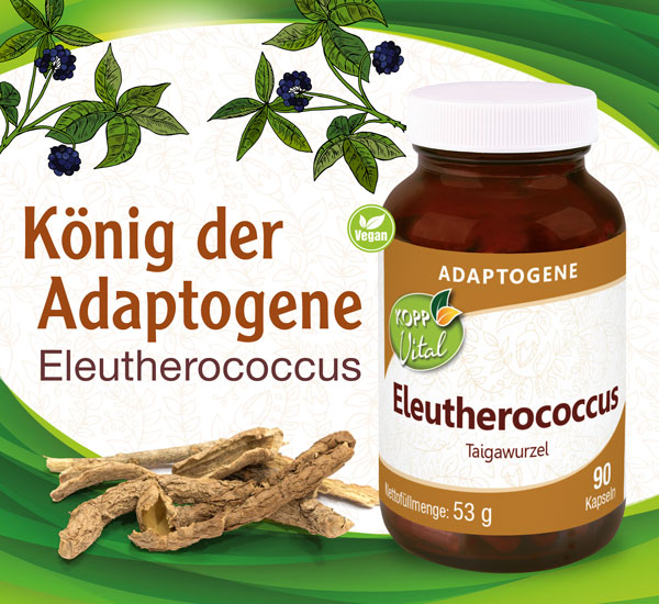 Kopp Vital Adaptogen Eleutherococcus (Taigawurzel) Kapseln