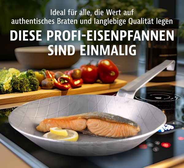 GSW Eisenpfanne - geschmiedet - 2er-Set:  20 cm und  28 cm - Wie neu