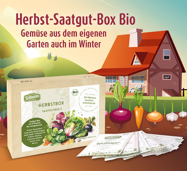 Die Herbst-Saatgut-Box Bio