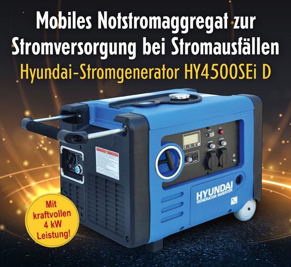 Hyundai Inverter-Stromgenerator HY4500SEi D Max. Leistung 4.0 kW  - Fr Bastler