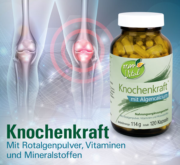 Kopp Vital   Knochenkraft Kapseln