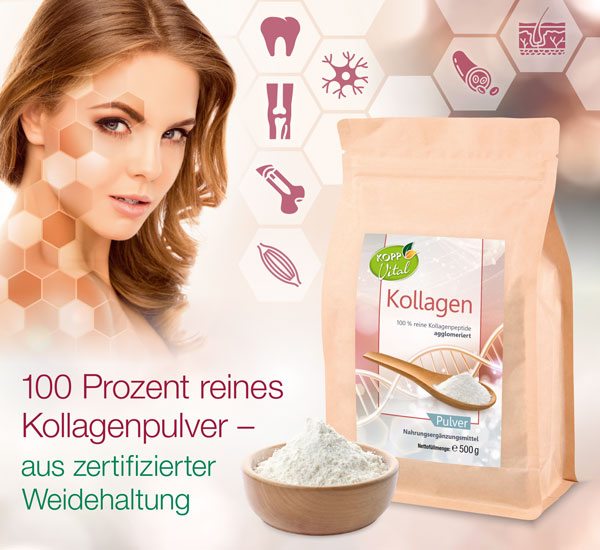 Kopp Vital ®  Kollagen Pulver / zertifizierte Weidehaltung / Kollagenhydrosat / Kollagenpeptid