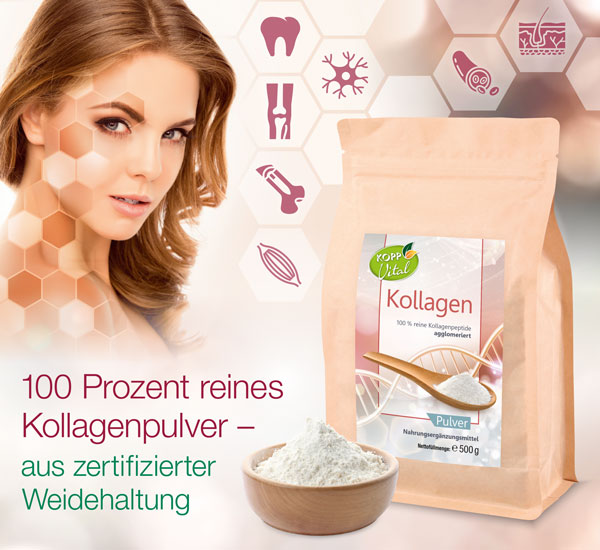 Kopp Vital   Kollagen Pulver / zertifizierte Weidehaltung / Kollagenhydrolysat / Kollagenpeptid / 91% Eiweigehalt