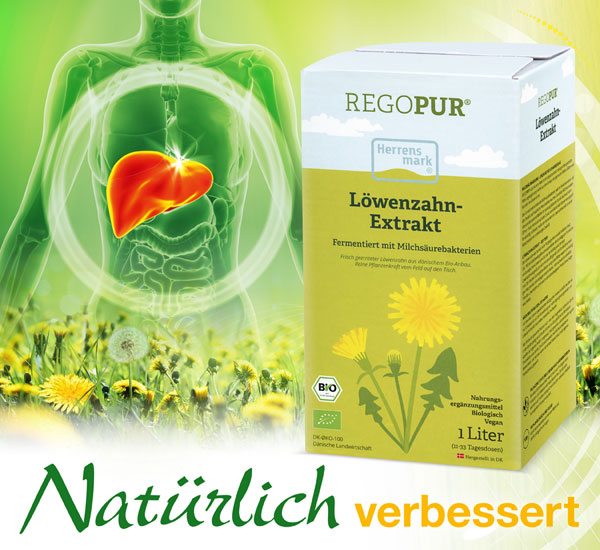 Herrensmark   Lwenzahn-Extrakt mit Milchsurebakterien Bio 1 Liter / vegan / fermentiert