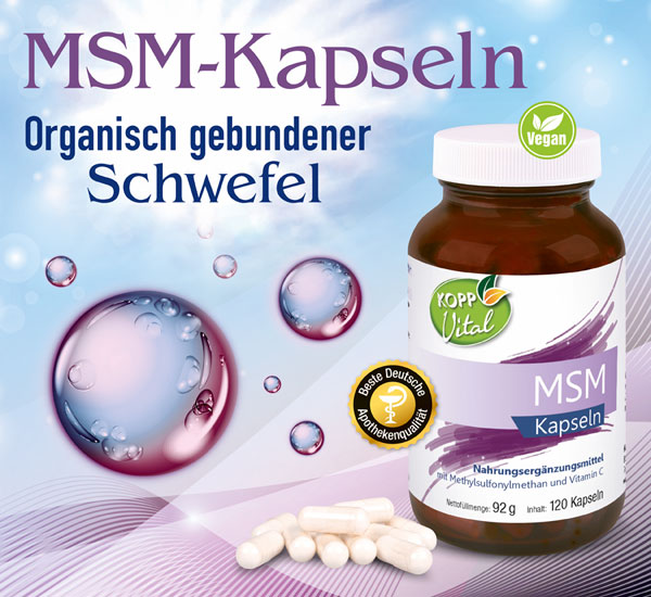 Kopp Vital   MSM Kapseln - vegan