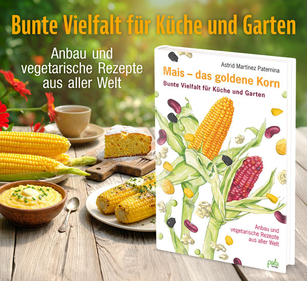 Mais - das goldene Korn