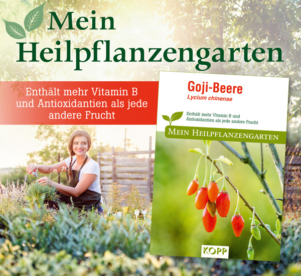 Goji-Beere - Mein Heilpflanzengarten