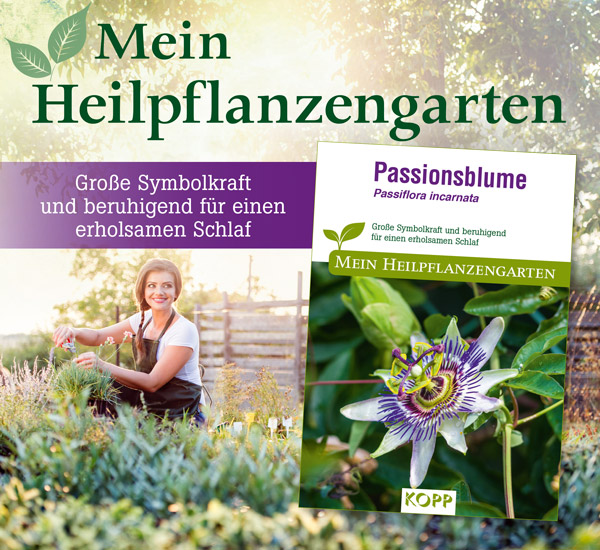 Passionsblume - Mein Heilpflanzengarten