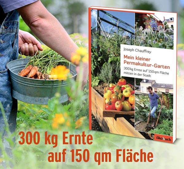 Mein kleiner Permakultur-Garten