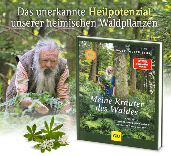 Meine Kruter des Waldes