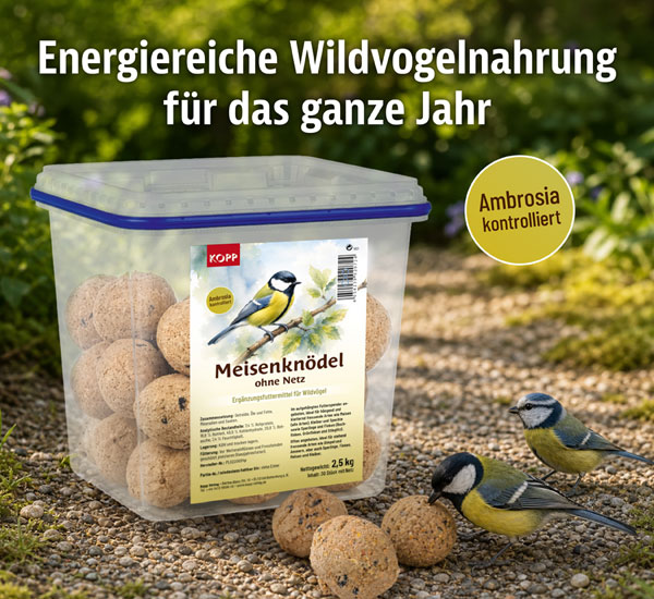 Meisenkn�del ohne Netz