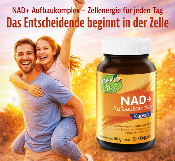 Kopp Vital� NAD+ Aufbaukomplex / 200 mg / 120 Kapseln