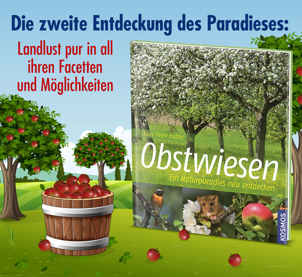 Obstwiesen