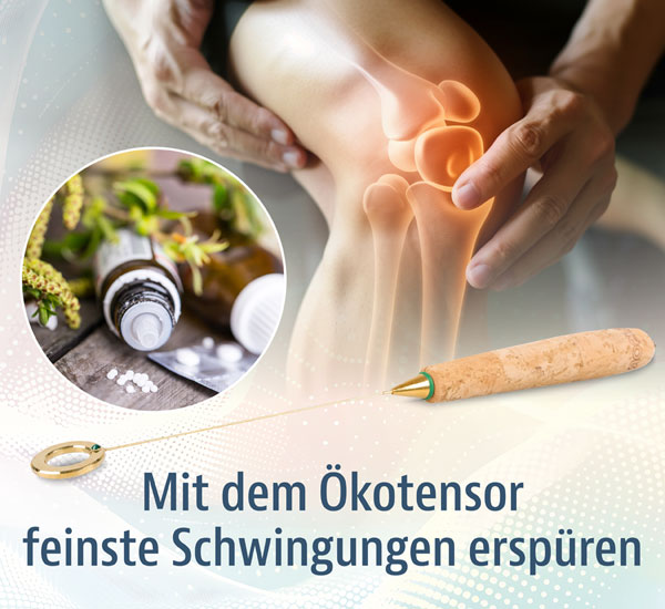 kotensor Midi mit vergoldetem Metall-Ring
