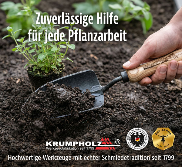 Krumpholz� Pflanzenkelle mit Eschengriff