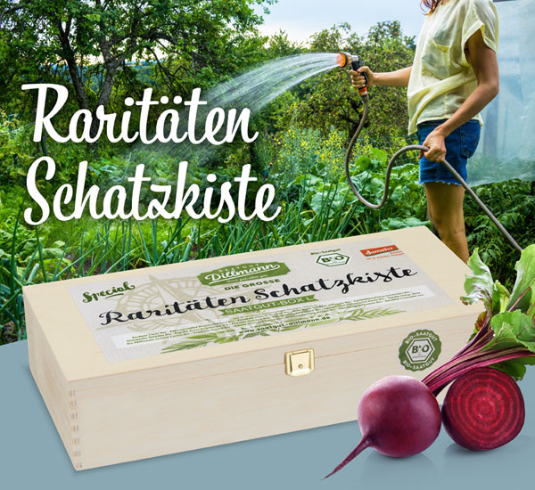 Die groe Raritten-Schatzkiste Saatgut-Box Bio