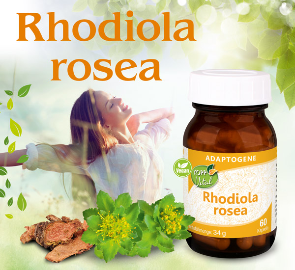 Kopp Vital Rhodiola rosea (Rosenwurz) Kapseln