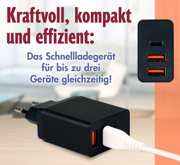 Schnellladegert Wall Charger 38 W