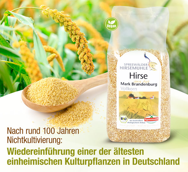 Spreewlder Hirse Bio 500 g