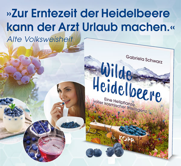 Wilde Heidelbeere