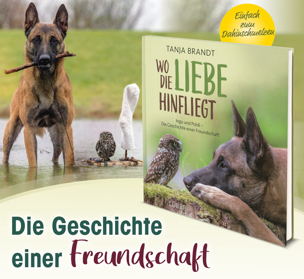 Wo die Liebe hinfliegt