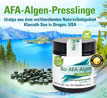 Kopp Vital Bio-AFA-Algen Presslinge_small_zusatz