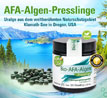 Kopp Vital   Bio-AFA-Algen Presslinge_small_zusatz