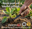 Krumpholz� Bio-Unkrautstecher mit Eschengriff_small_zusatz