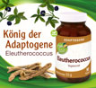 Kopp Vital Adaptogen Eleutherococcus (Taigawurzel) Kapseln_small_zusatz