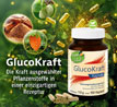  Kopp Vital GlucoKraft _small_zusatz