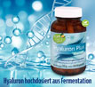 Kopp Vital   Hyaluron Plus Kapseln_small_zusatz