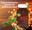 Kopp Vital   Ginsengkomplex fermentiert Kapseln / 4 Ginsengsorten als Extrakte nicht nur Pulver_small_zusatz