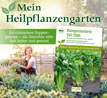 BIO Stangensellerie Tall Utah - Mein Heilpflanzengarten_small_zusatz