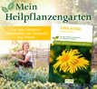 Echte Arnika - Mein Heilpflanzengarten_small_zusatz
