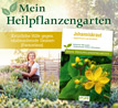 Johanniskraut - Mein Heilpflanzengarten_small_zusatz