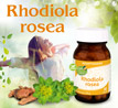 Kopp Vital ®  Rhodiola rosea (Rosenwurz) Kapseln_small_zusatz