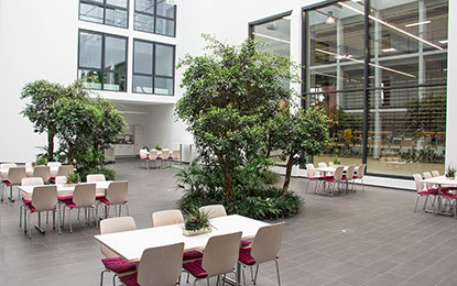 Karriere_Galerie-06