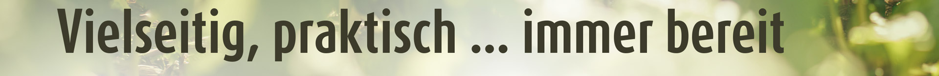 Bild Kopp Geschenke Dektop 01a