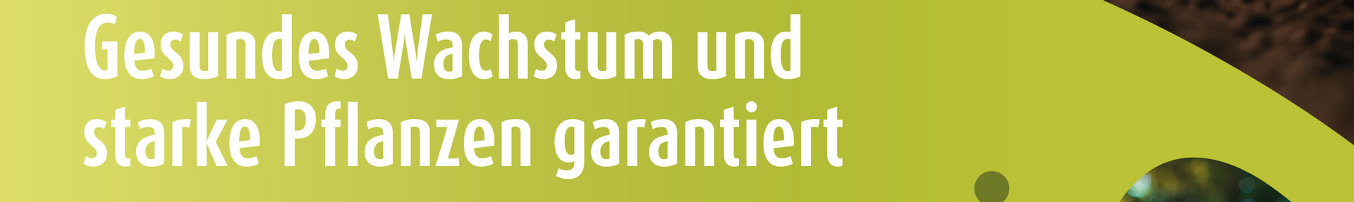 Bild Kopp Geschenke Dektop 01a