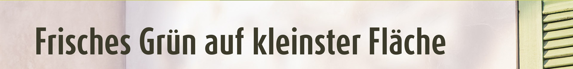 Bild Kopp Geschenke Dektop 01a